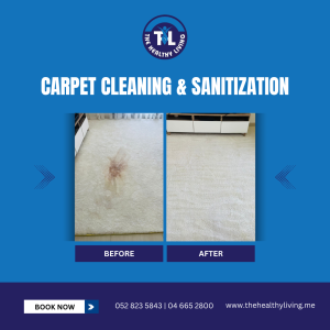 Carpet Cleaning & Sanitization - Social Media Post