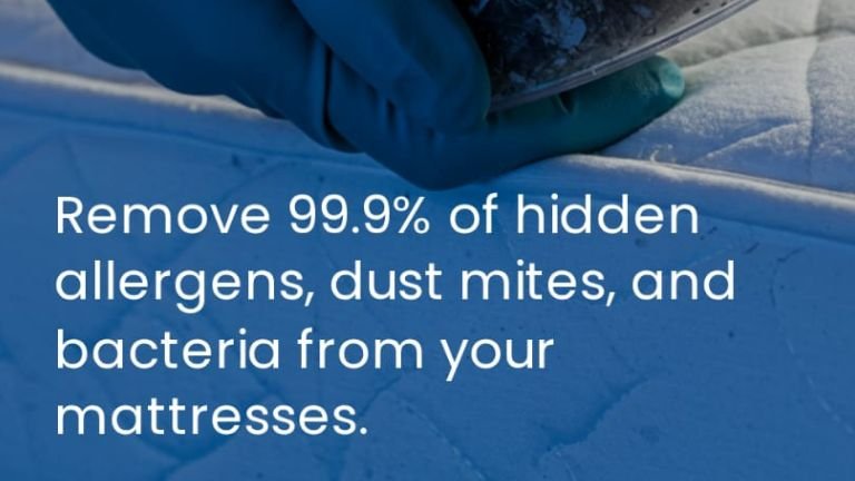 Read more about the article Is sofa or mattress cleaning included in regular cleaning?